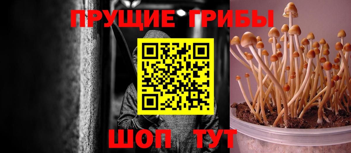 Псилоцибиновые грибы Psilocybe  закладка  Надым  Вход с VPN 
