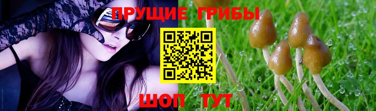 Псилоцибиновые грибы мухоморы Надым